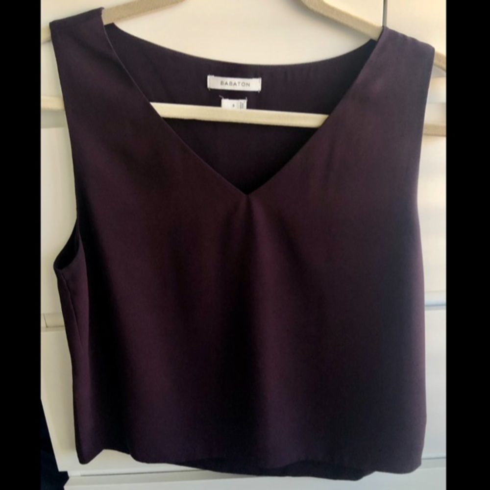 Aritzia Babaton Murphy Blouse